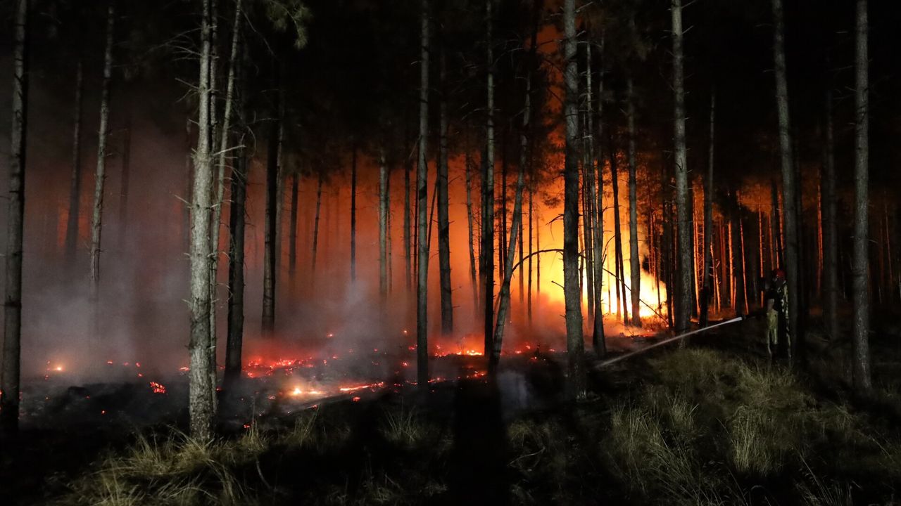 Scouting niet vervolgd voor bosbrand: 'Onvoldoende wettelijk bewijs'