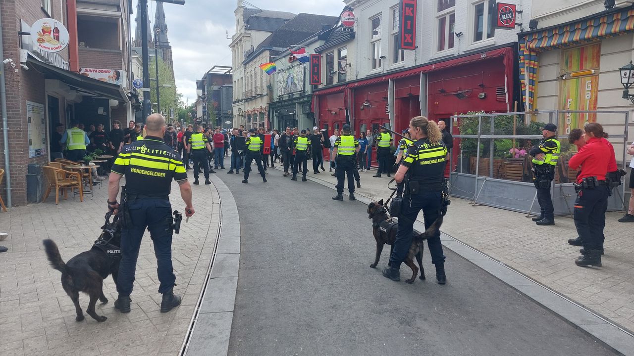Politie oefent met honden en paarden op Stratumseind
