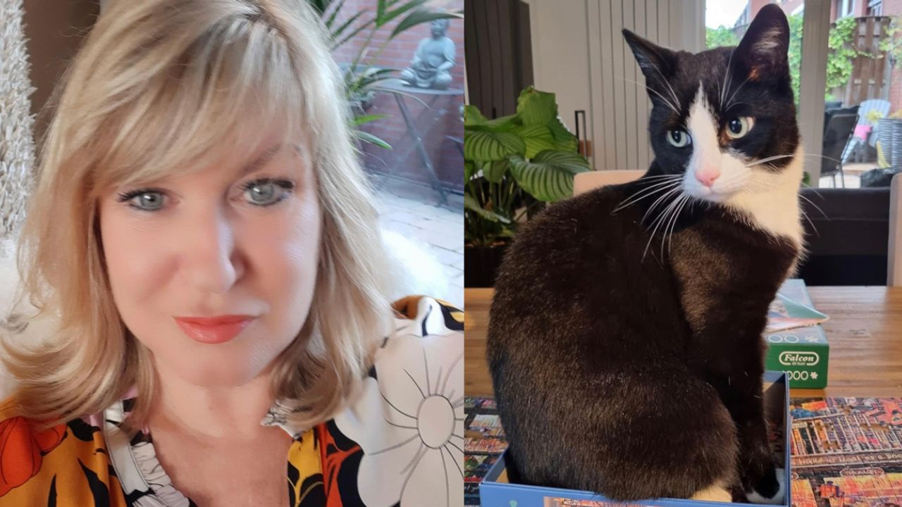 Alexandra's kat nog steeds spoorloos: 'De voeding voor de verkeerde kat was heel duur'