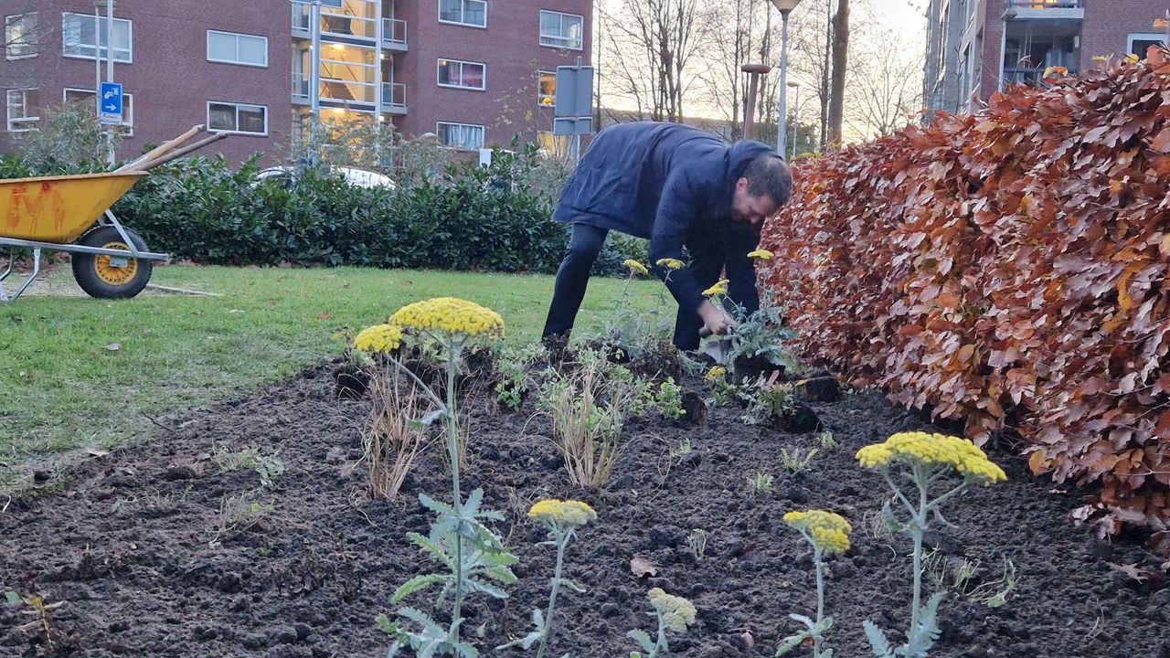 Eindhoven legt extra beplanting aan in buurten met weinig groen