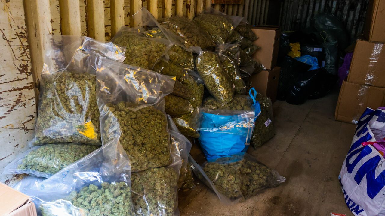 Politie neemt honderden kilo's softdrugs in beslag