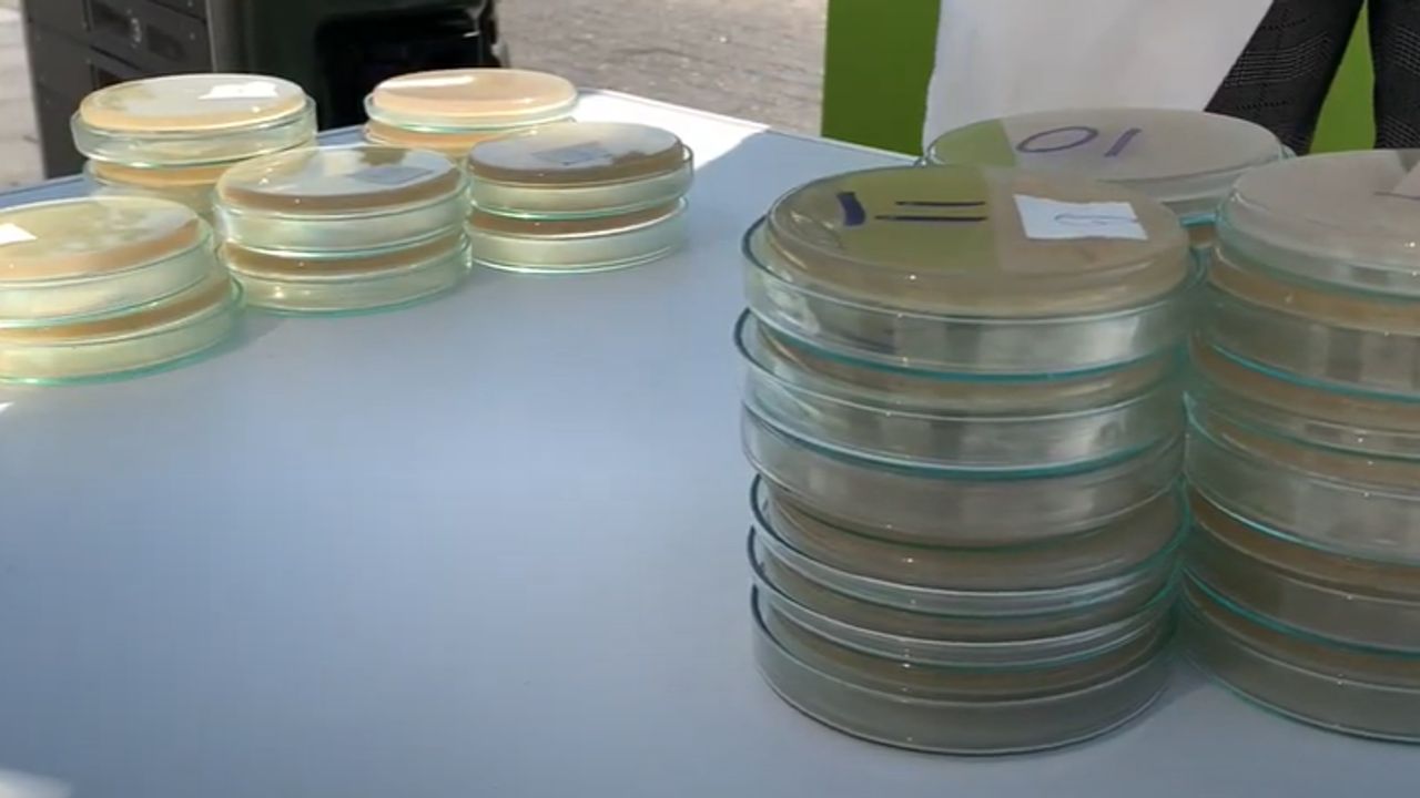 Pop-up lab verzamelt Eindhovense bacteriën
