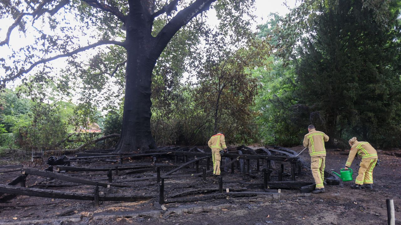 Drie tieners opgepakt voor brandstichting monumentale boom