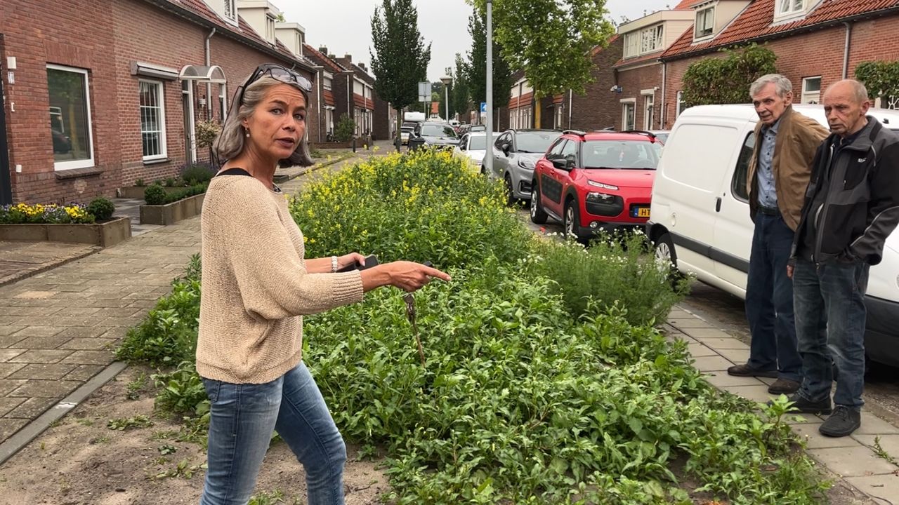 Eindhoven wil plantsoen Dufaystraat gaan opsplitsen
