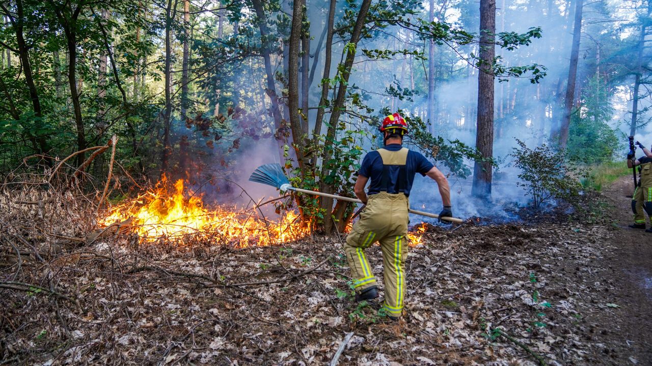 Brandweer blust grote bosbrand bij Heeze