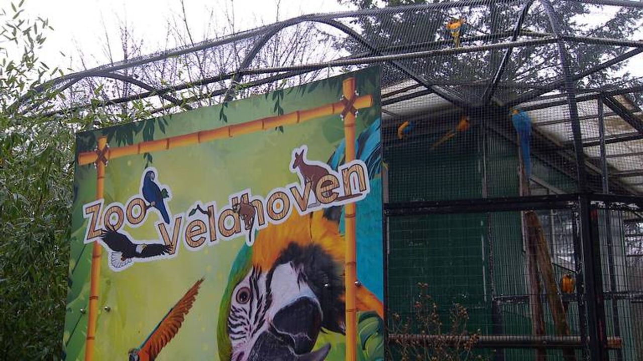 Richard uit Veldhoven zoekt nieuwe eigenaar voor zijn dierentuin