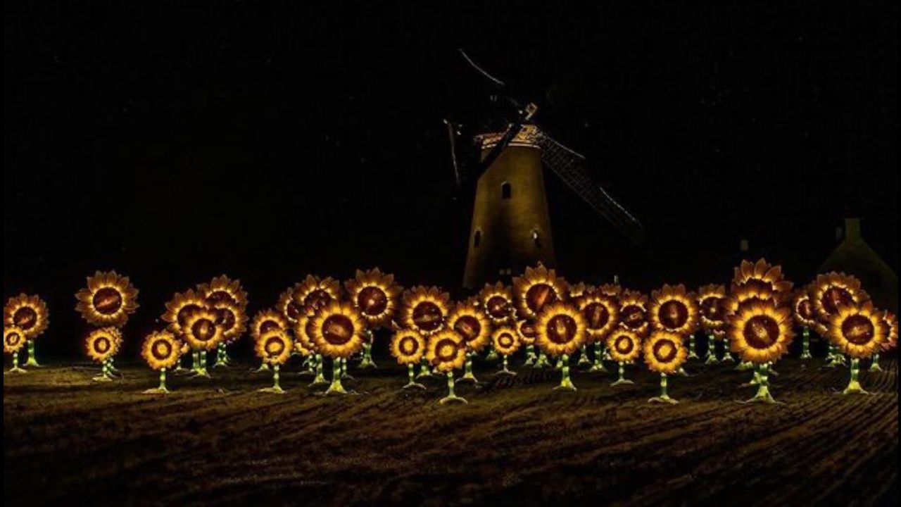 Nuenen is apetrots op de verlichte Van Gogh-zonnebloemen