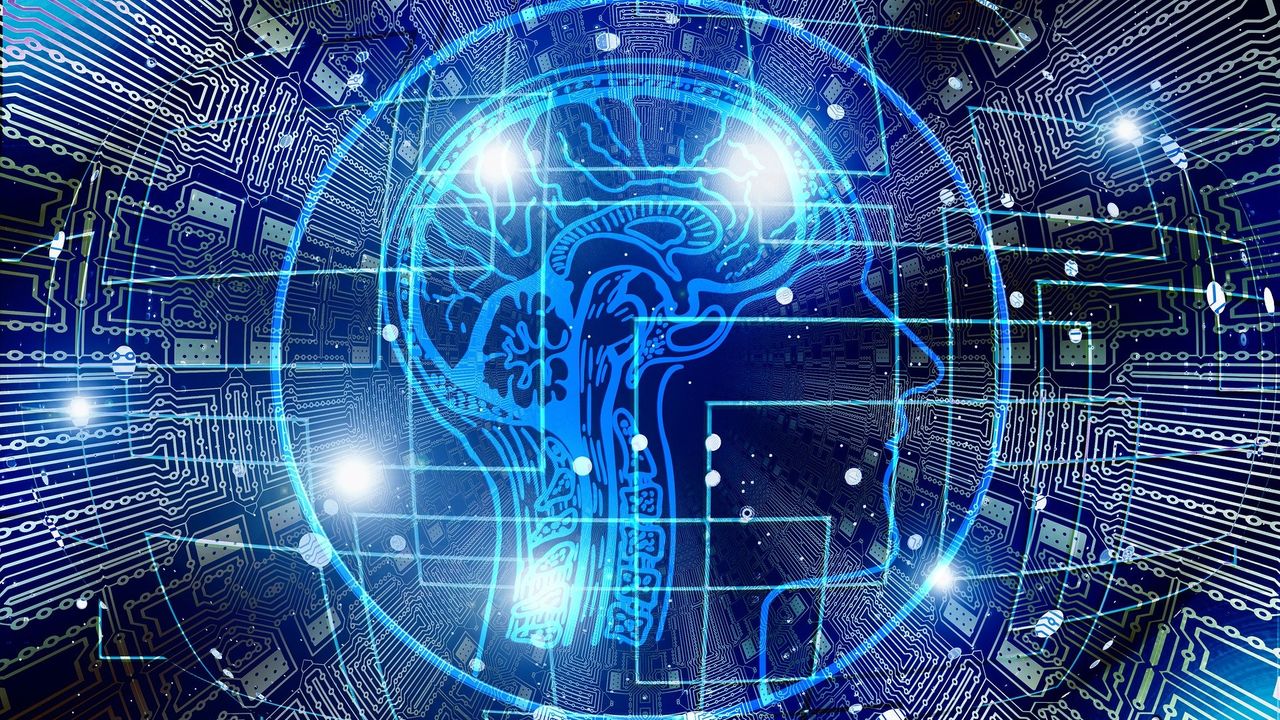 TU/e wil computer bouwen met levende hersencellen