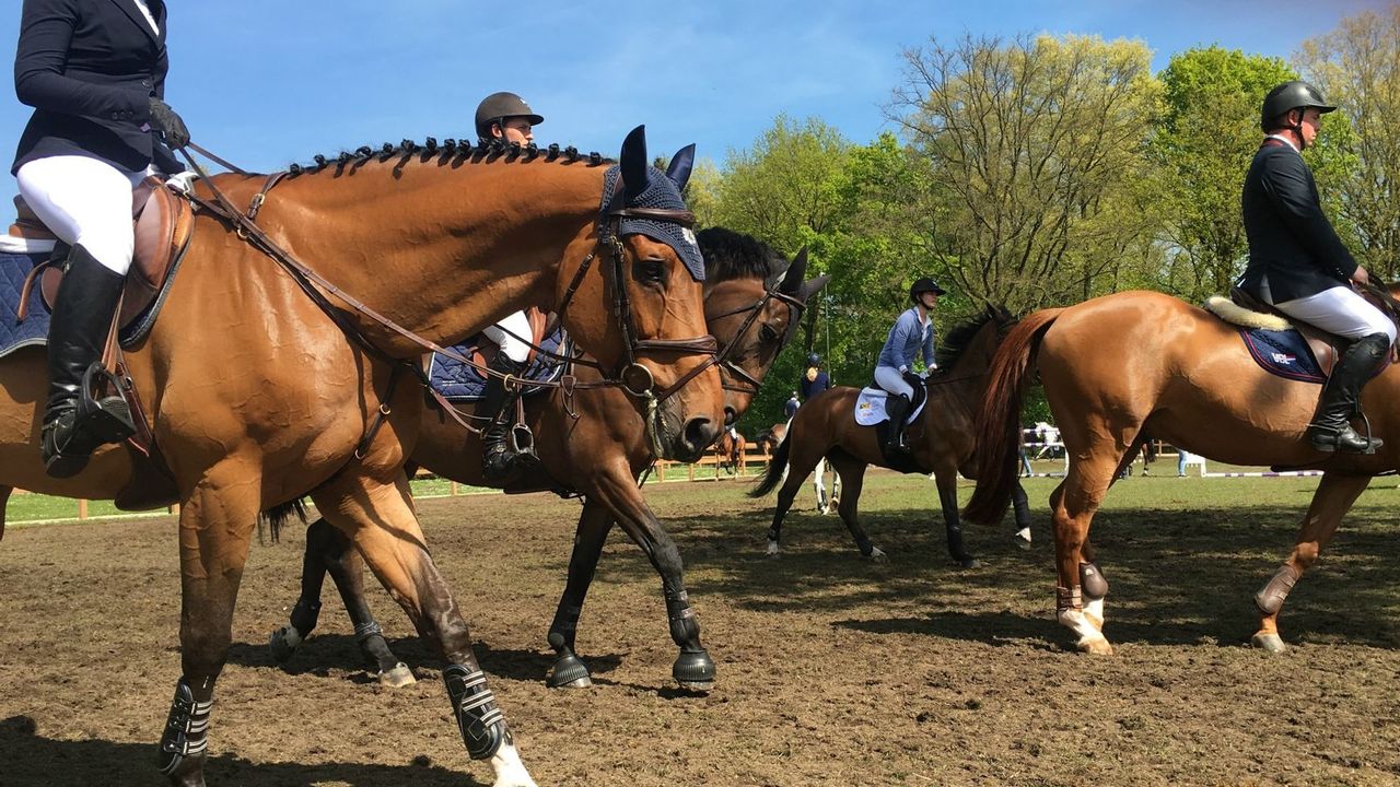 Groot paardensporttoernooi van start bij Karpendonkse Plas