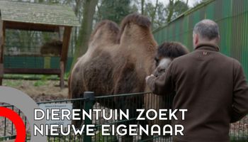 Zoo Veldhoven zoekt nieuwe eigenaar